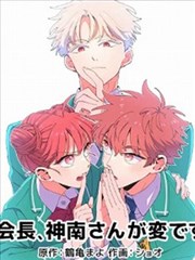 阅读空间云梯书屋,阶梯式书架与顶部天窗